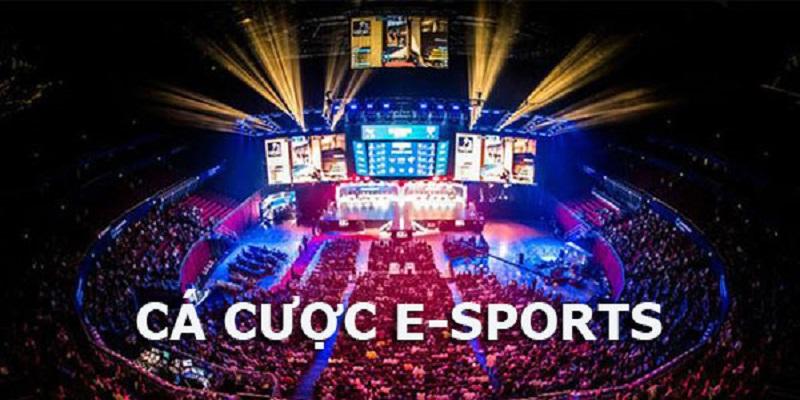 Hướng Dẫn Cá Cược Esports Tại F168 Cho Newbie 2025 6 Áp dụng các chiến thuật khi cá cược Esports